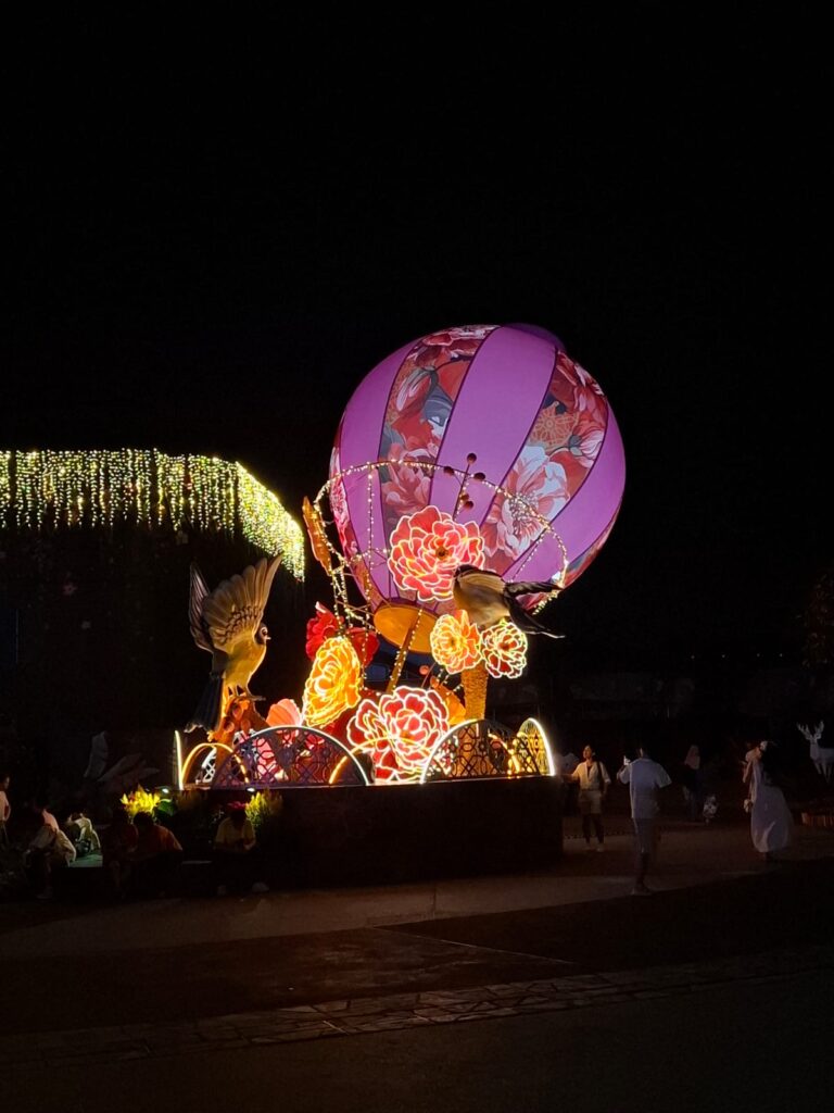 Lunar New Year in Singapore 17