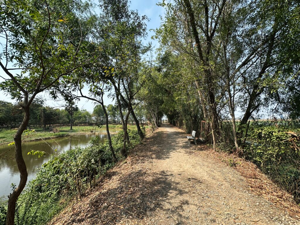 Cambodia - Ruins and dark history 27