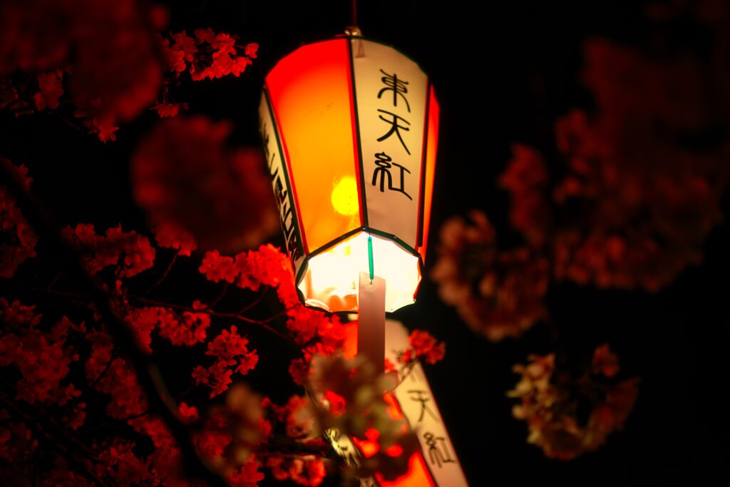 Japan - A childhood dream (1/2) 9 Japan - A childhood dream (1/2) 9
