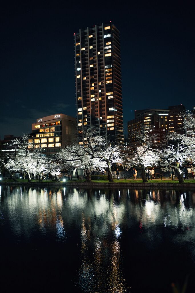 Japan - A childhood dream (1/2) 4 Japan - A childhood dream (1/2) 4