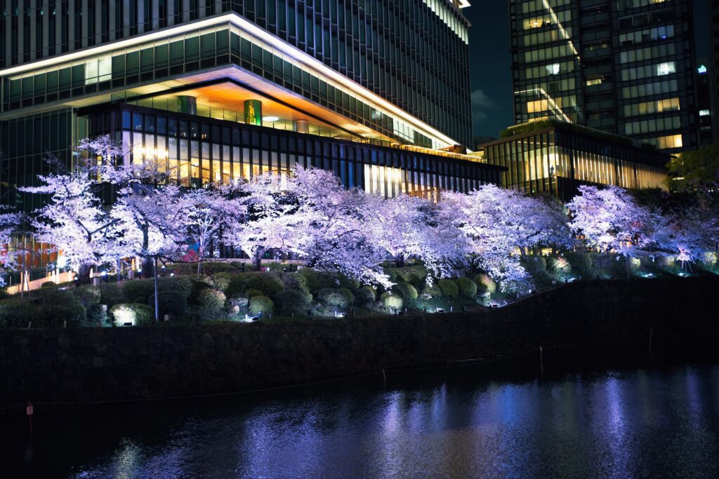 Japan - A childhood dream (1/2) 3 Japan - A childhood dream (1/2) 3