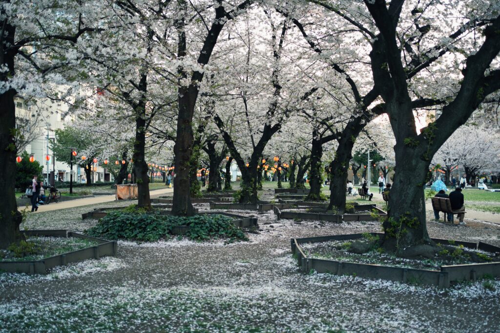 Japan - A childhood dream (1/2) 7 Japan - A childhood dream (1/2) 7