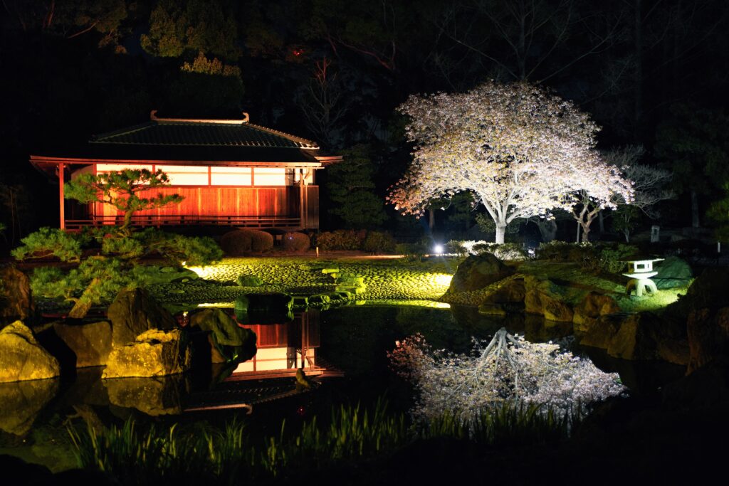Japan - A childhood dream (1/2) 48 Japan - A childhood dream (1/2) 48