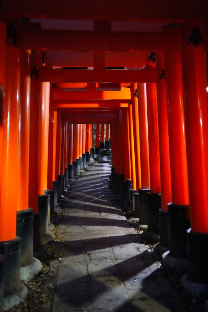 Japan - A childhood dream (1/2) 61 Japan - A childhood dream (1/2) 61