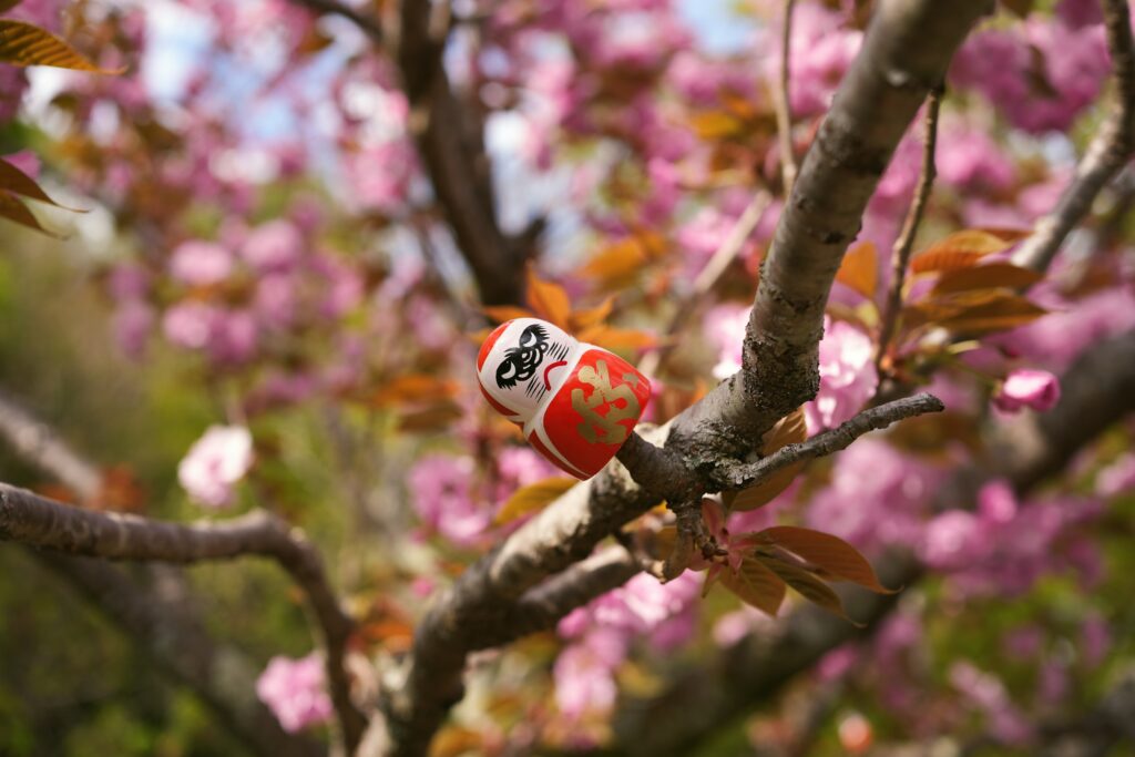 Japan – A childhood dream (2/2) 13 Japan – A childhood dream (2/2) 13