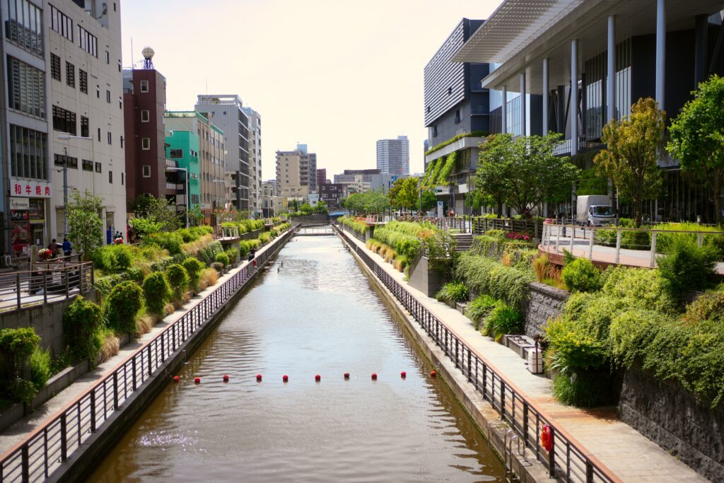 Japan – A childhood dream (2/2) 76 Japan – A childhood dream (2/2) 76
