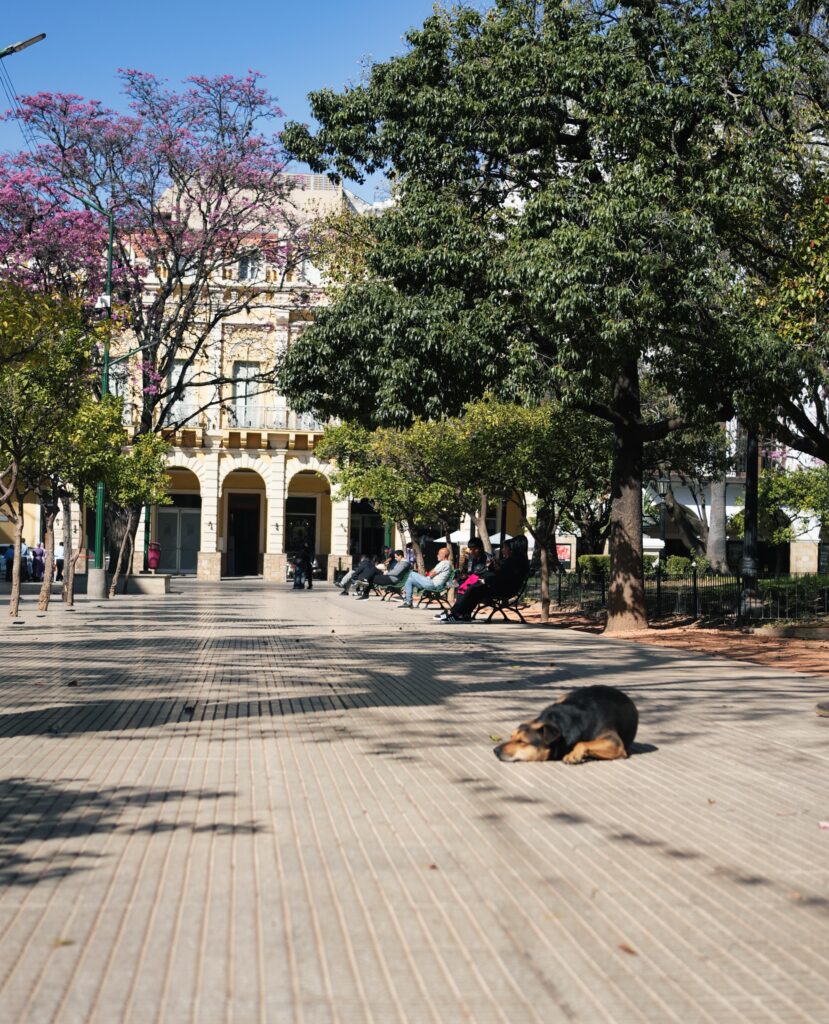 Argentina - a disappointment 38