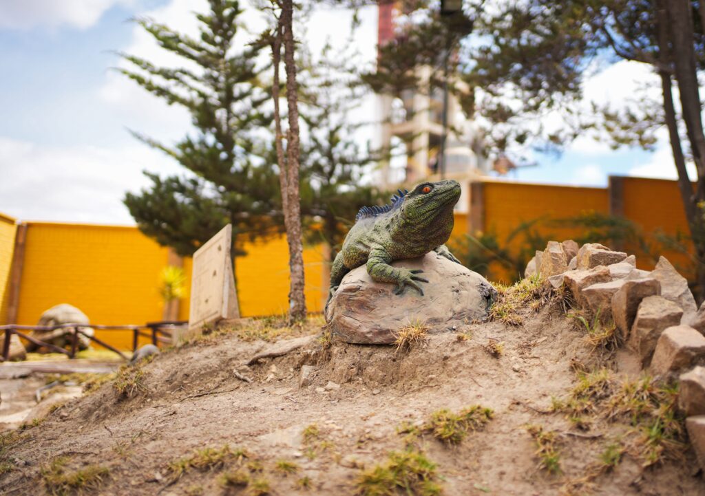 Bolivia - finally the vibe is here 37 Bolivia - finally the vibe is here 37