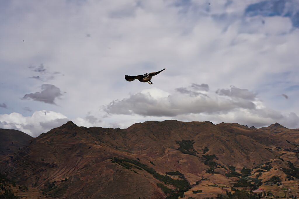 Peru - unbelievable landscapes 10