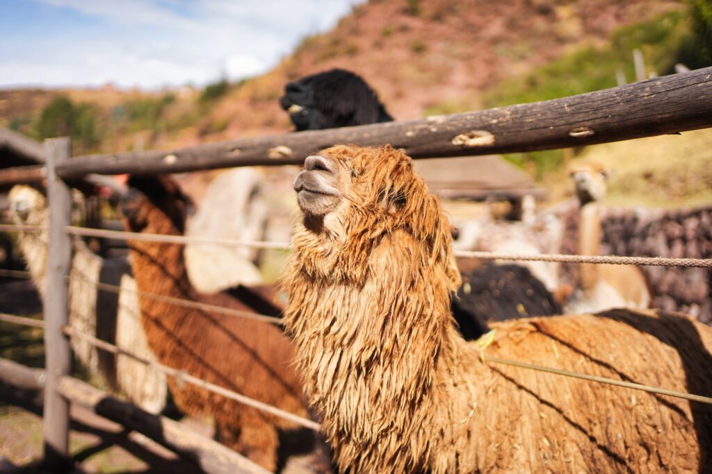 Peru - unbelievable landscapes 12