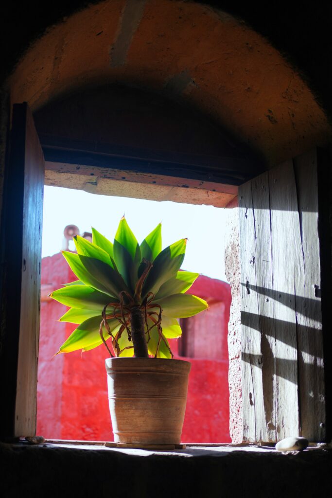 Peru - unbelievable landscapes 50