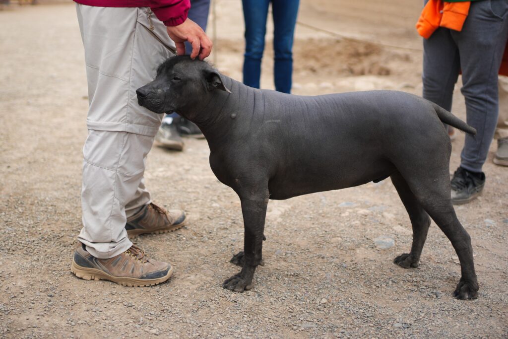 Peru - unbelievable landscapes 57