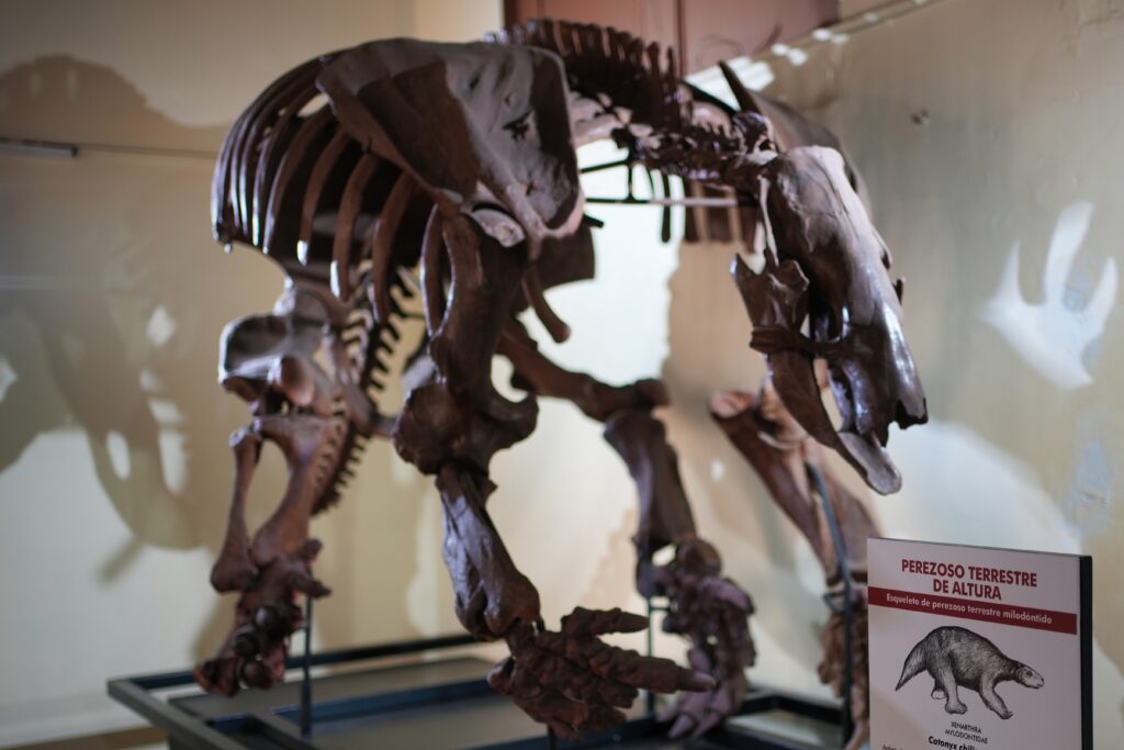 Peru - unbelievable landscapes 61