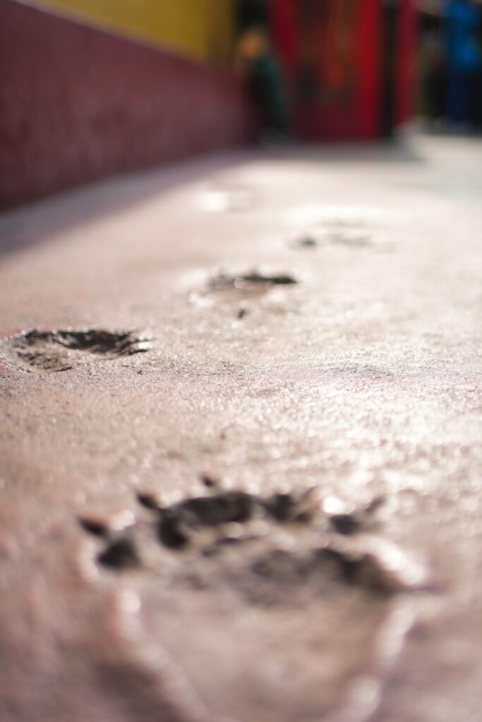 Peru - unbelievable landscapes 62