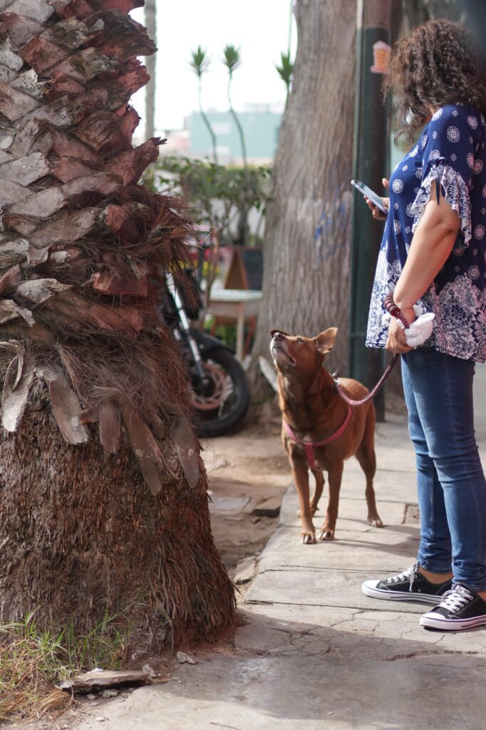 Peru - unbelievable landscapes 69