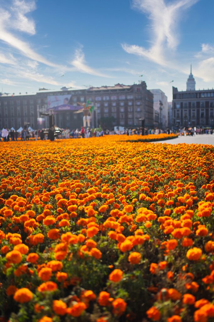 Mexico - a mixed experience 2