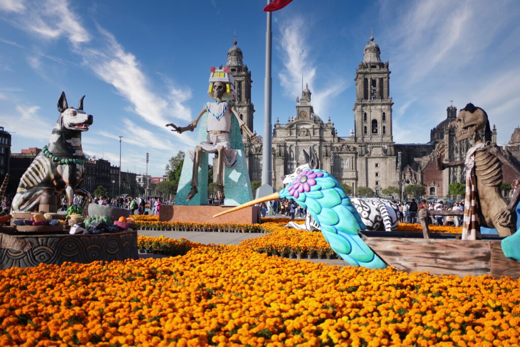 Mexico - a mixed experience 5