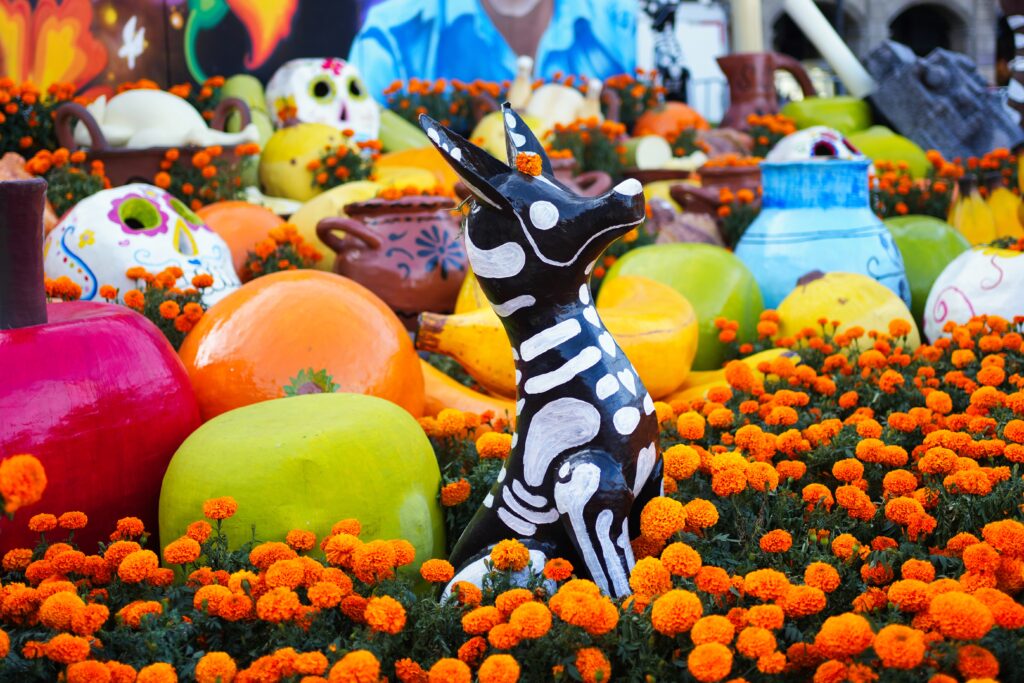 Mexico - a mixed experience 7