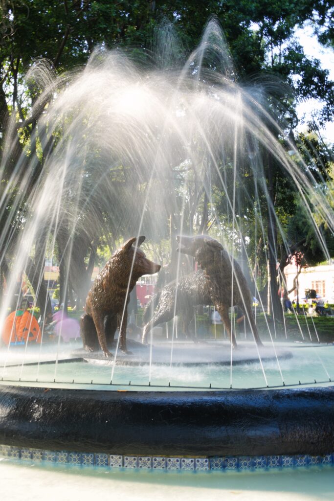 Mexico - a mixed experience 15