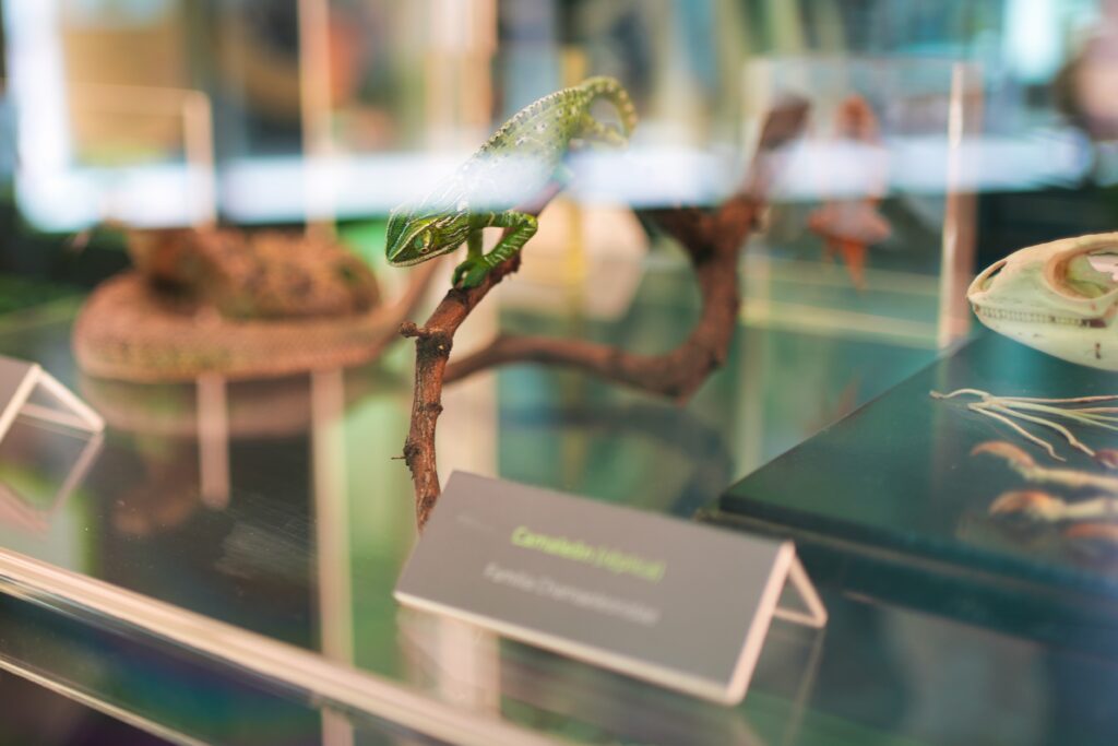 Mexico - a mixed experience 27