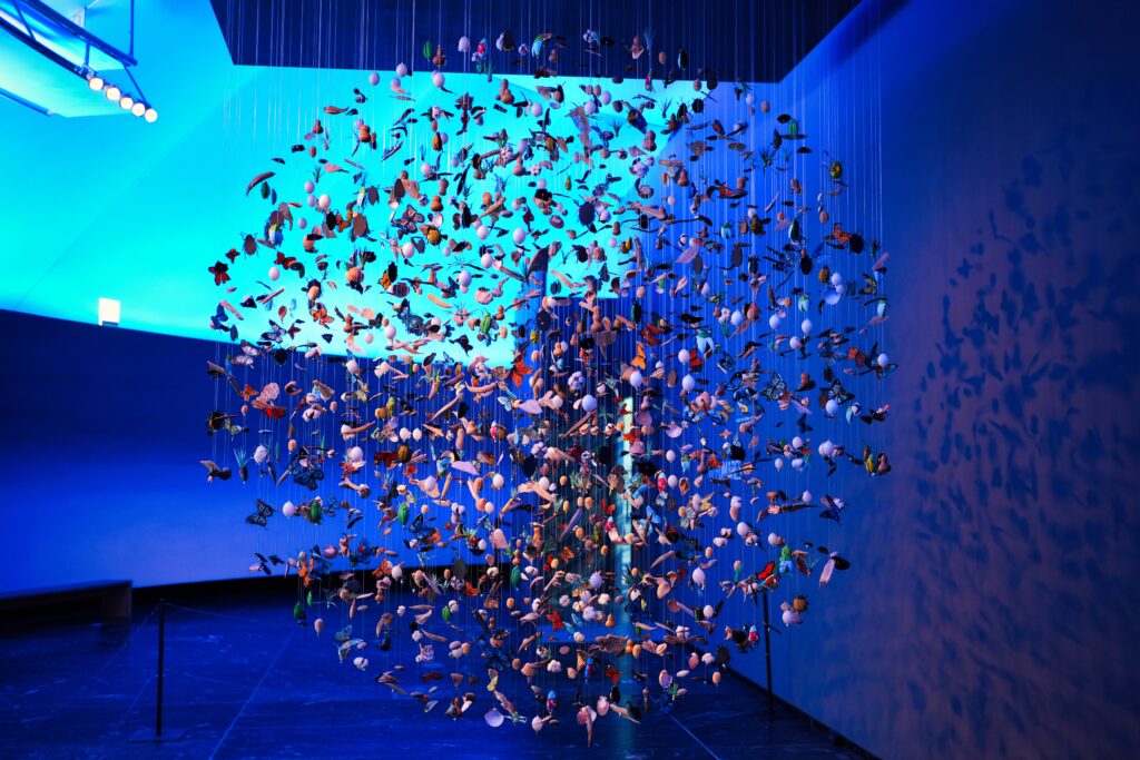 Mexico - a mixed experience 26