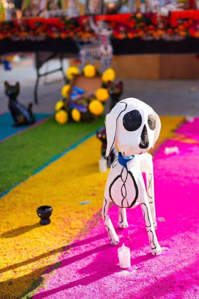 Mexico - a mixed experience 23