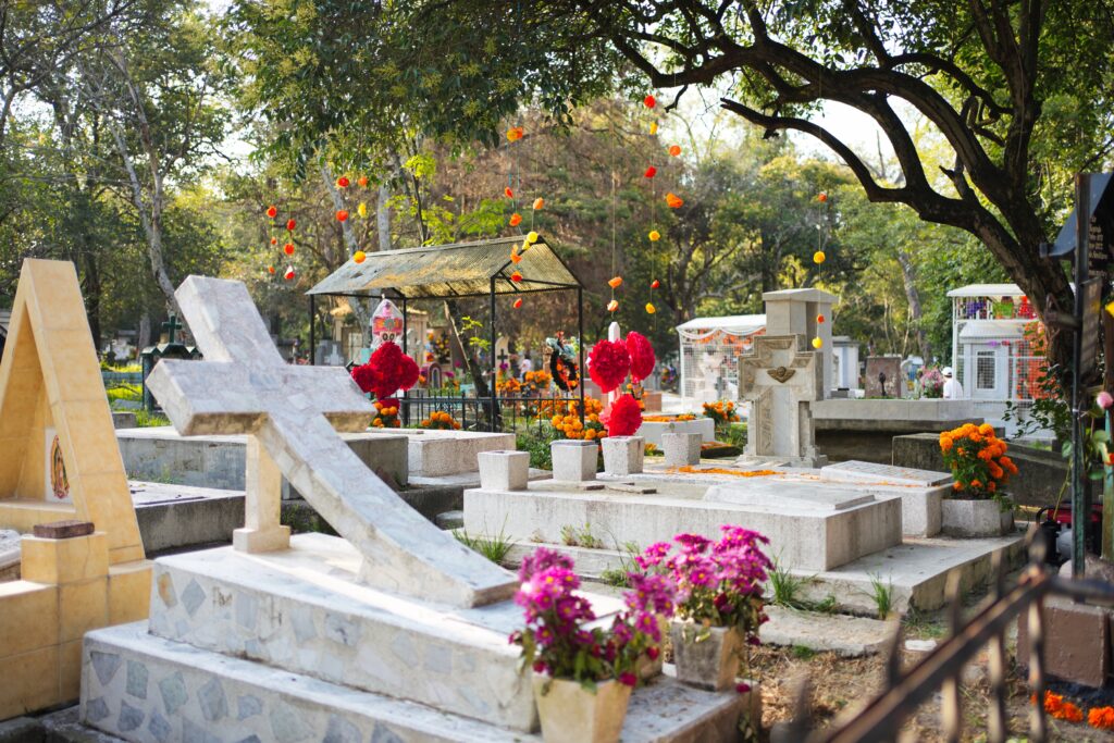 Mexico - a mixed experience 25