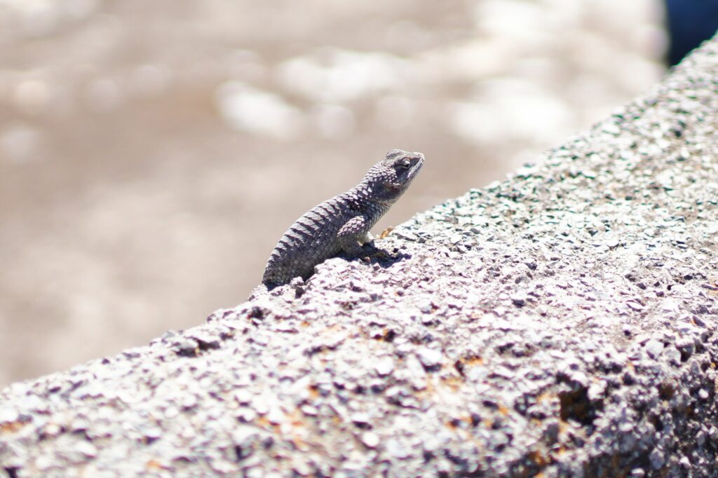 Mexico - a mixed experience 28