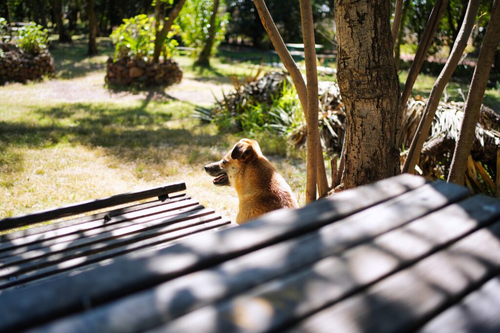 Mexico - a mixed experience 30