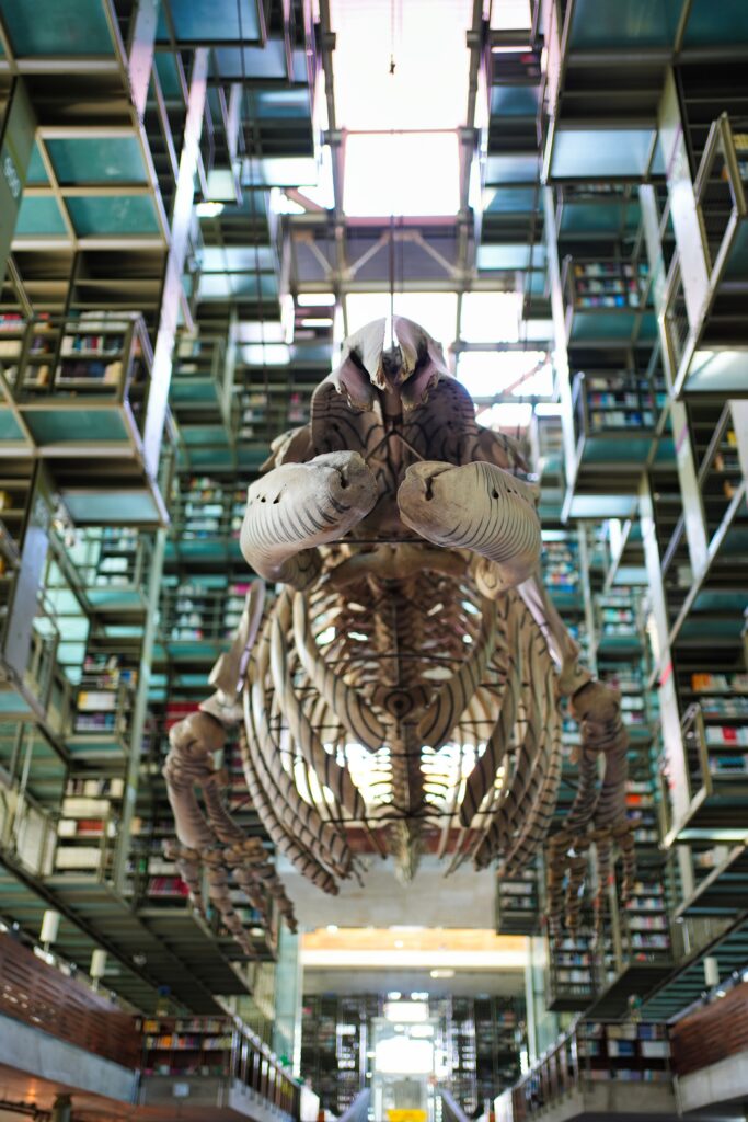 Mexico - a mixed experience 39