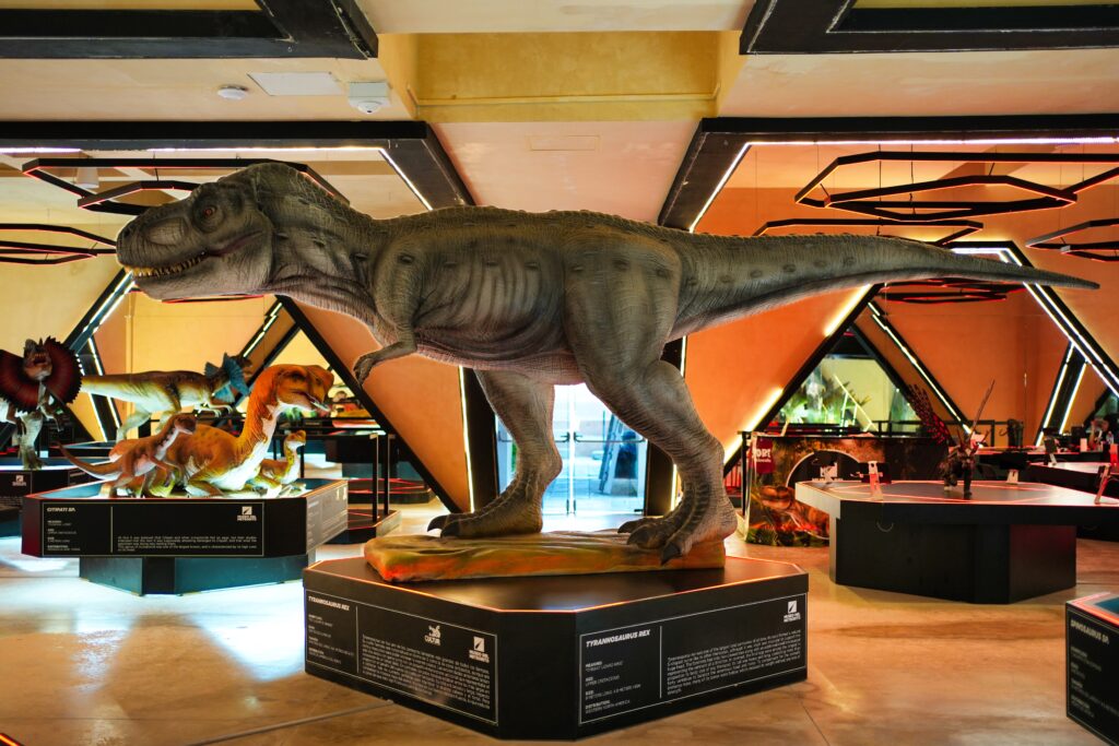 Mexico - a mixed experience 41