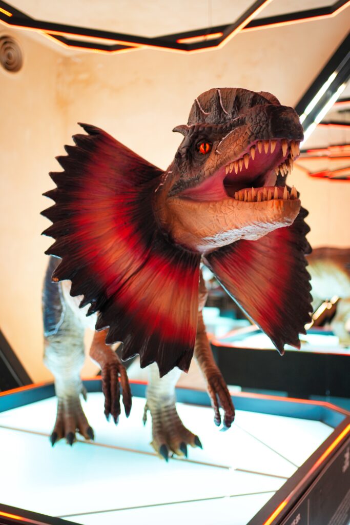 Mexico - a mixed experience 42