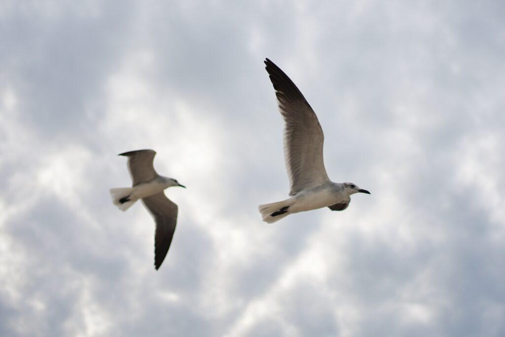 Mexico - a mixed experience 44