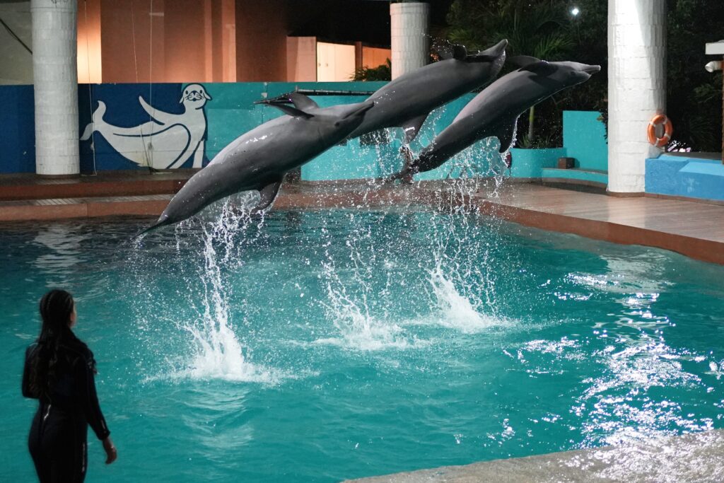 Mexico - a mixed experience 67