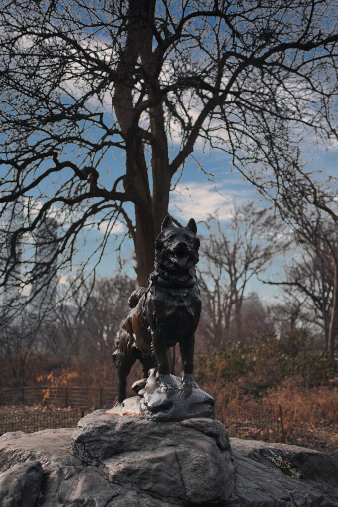 Christmas & NYE - The US 41 Christmas & NYE - The US 41